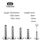 ASTM F136 Titanium 18G Labret Stud For Lip Or Cartilage Piercing