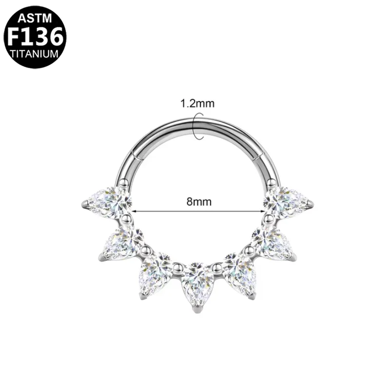 ASTM F136 Titanium Segment Clicker Ring For Septum Or Nose Piercing - Image 2