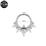 ASTM F136 Titanium Segment Clicker Ring For Septum Or Nose Piercing