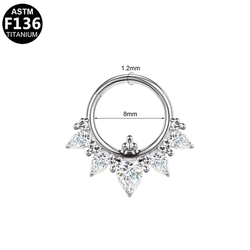 ASTM F136 Titanium Segment Clicker Ring For Septum Or Nose Piercing