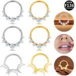 ASTM F136 Titanium Segment Clicker Ring For Septum Or Nose Piercing