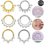 ASTM F136 Titanium Segment Clicker Ring For Septum Or Nose Piercing