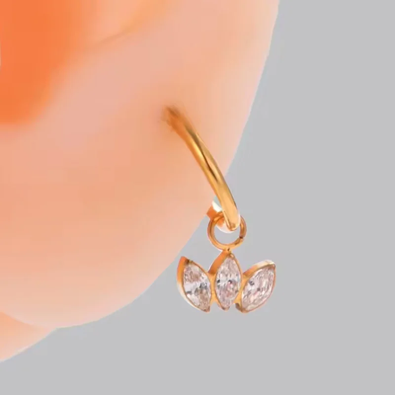 ASTM F136 Titanium Segment Clicker Ring For Septum Or Nose Piercing - Image 2