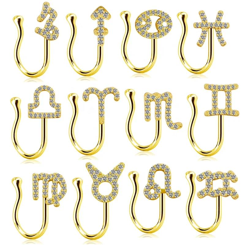 ASTM F136 Titanium Nose Ring For Nose Piercing - Image 2